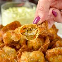 Curry Chicken Stuffed Wontons