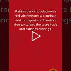 Chocolate Wine Indulgence: Luxe Pairing 🍫🍷