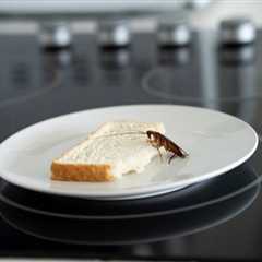 Kofeina a Mózg: Mechanizmy i Efekty Działania