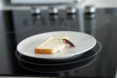 Kofeina a Mózg: Mechanizmy i Efekty Działania