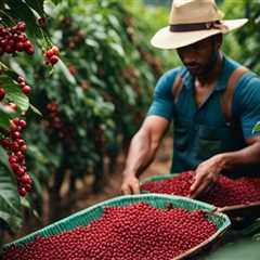 Kawa bardziej eko: Codzienne wskazówki na zrównoważony wybór